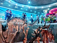 -国家自然博物馆