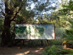 -北海金海湾红树林生态旅游区