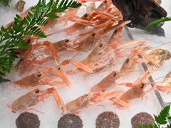 -Mr.Fish鱼鲜生海鲜放题(高德置地冬广场店)