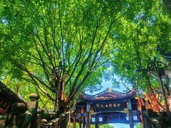 -丰都鬼城名山景区