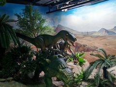 -国家自然博物馆