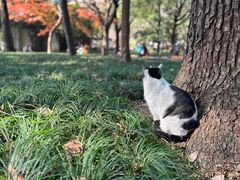 -西园寺素食(西园弄戒幢律寺店)