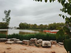 -大兴滨河森林公园