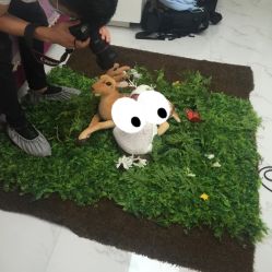 -格林童趣专业儿童摄影(公益西桥店)