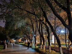 -玉山公园