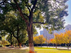 -长沙市青少年宫