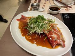 东星斑-協成海鮮火鍋(老店)