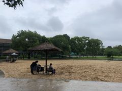-上海佘山世茂艾美酒店