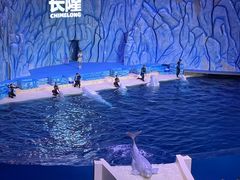 -珠海长隆海洋王国