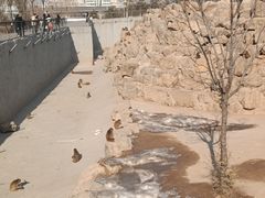 -太原动物园
