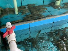 -考记泥焗鸡农庄·海鲜(北洛秘境店)