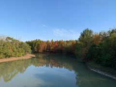 -上海海湾国家森林公园