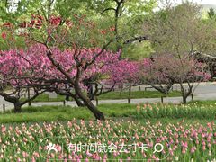 -国家植物园
