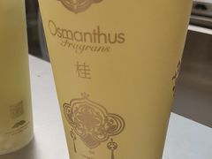 -爷爷不泡茶 NOYEYENOTEA(长沙五江天街店)