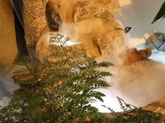 -大鱼·养生·禅洗头疗·按摩SPA