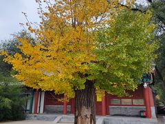 -潭柘寺景区