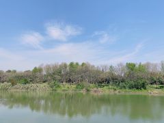 -南湖湿地公园
