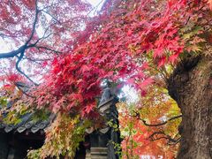 -青岛崂山太清宫