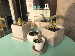 -蜜蜂小象·榴莲千层蛋糕(时代汇11栋店)