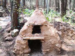 -重庆睡佛山森林公园