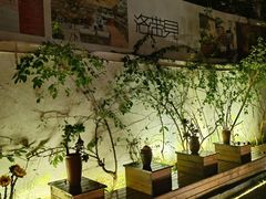 -云里小坐·小院里·团建·宴请·下午茶(三圣乡店)