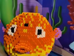 -上海乐高探索中心