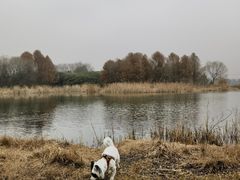 -贡湖湾湿地公园