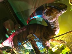 -恐龙探索乐园(磁器口店)