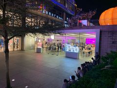 -Apple零售店(深圳益田假日广场店)