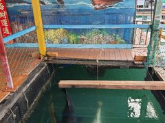 -蓝湾碧波·老字号·疍家非遗海上餐厅