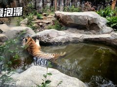 -红山森林动物园