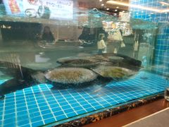 -浔味·山屿湖·正宗全鱼宴老字号