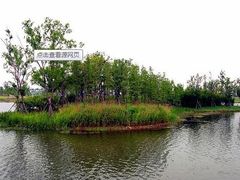 -新江湾城公园