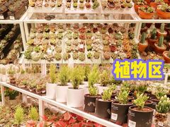 -KKV(深圳宏发大仟里店)