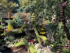 -杭州植物园