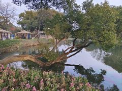 -无锡梅园公园