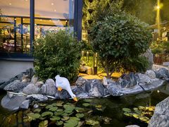 -蘇河湾·新鲁菜·泰山宴(泰山店)