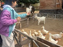 -HERRE·FARM 赫尔露营农场·团建聚会包场