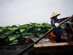 -荷塘月色湿地公园·向阳花洲