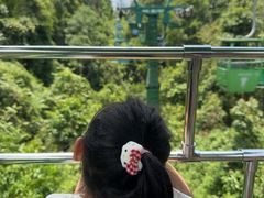 -野象谷景区