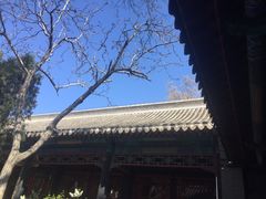 -保定直隶总督署博物馆