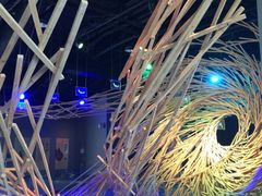 iphone_upload_pic-溱湖国家湿地公园