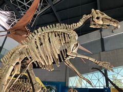 -湖南省地质博物馆