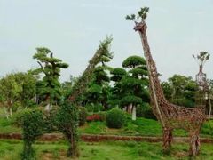 -武汉紫薇都市田园