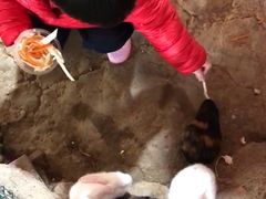 -南昌动物园
