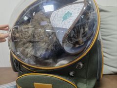 -谐和贝康宠物医院24小时·宠保定点(急重症转诊中心)