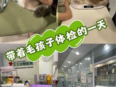 -悦宠凯宝动物医院·牙科·皮肤科(朝阳北路店)