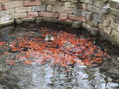 -水磨沟公园