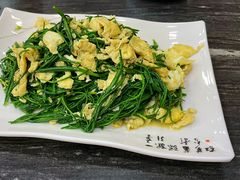 -靖远尕六美味羊羔肉