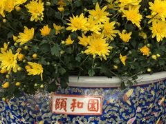 -颐和园